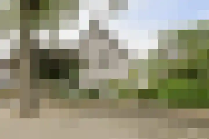 Maalsteen 24 Oosterhout thumbnail 7