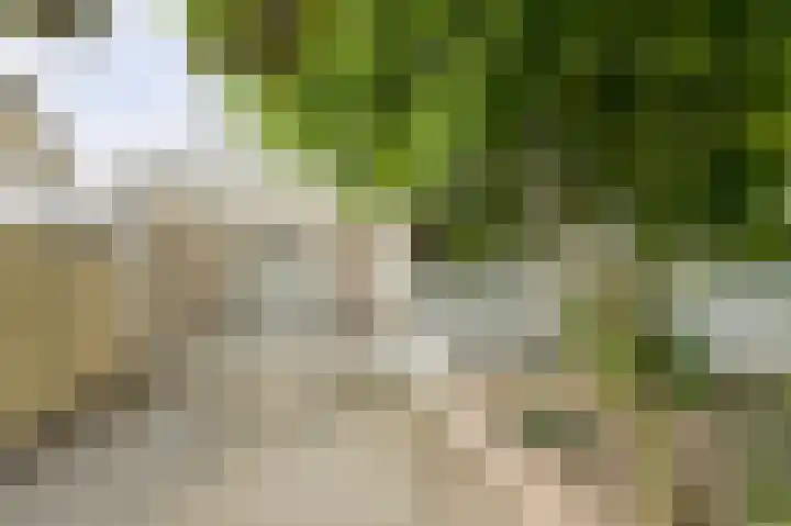 Maalsteen 24 Oosterhout thumbnail 8