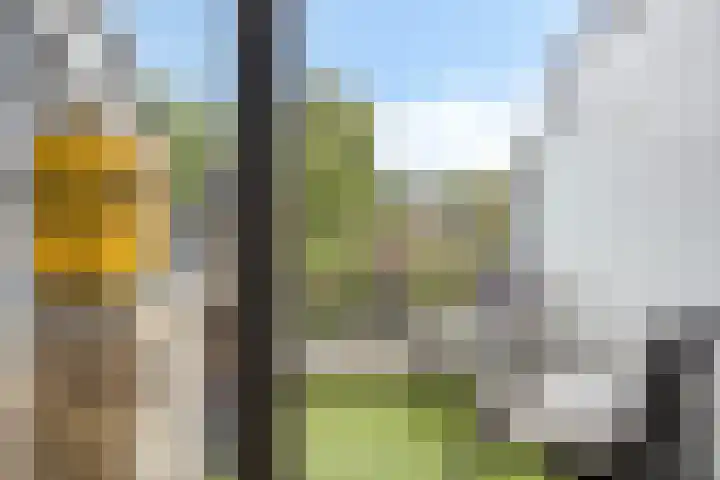 Maalsteen 25 Zuidland thumbnail 11