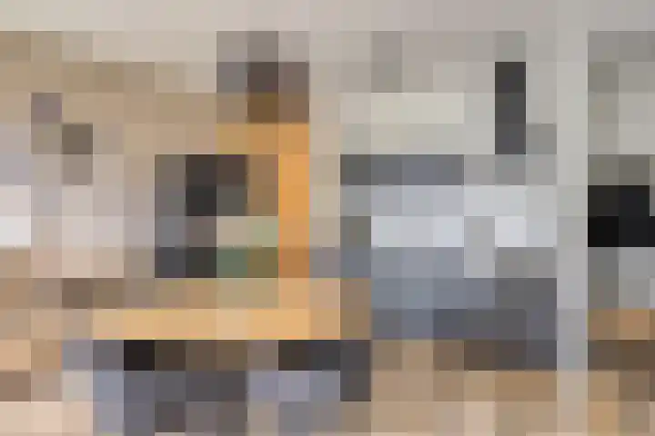 Maalsteen 25 Zuidland thumbnail 7