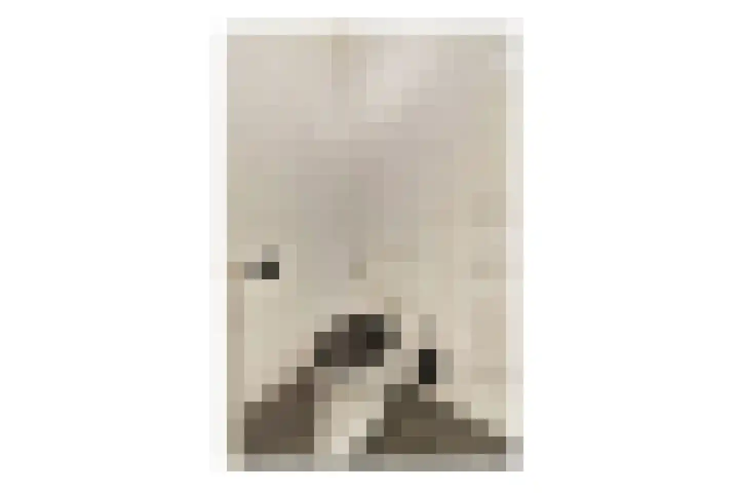 Maalsteen 27 Zuidland thumbnail 11