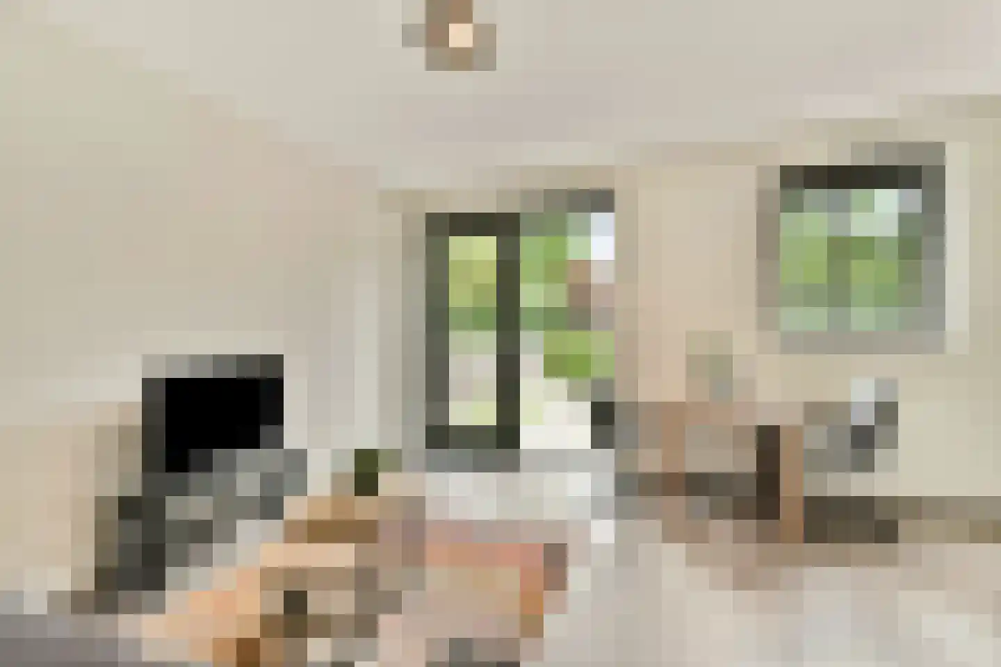 Maalsteen 27 Zuidland thumbnail 8