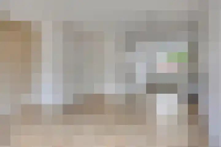 Maalsteen 31 Nistelrode thumbnail 10