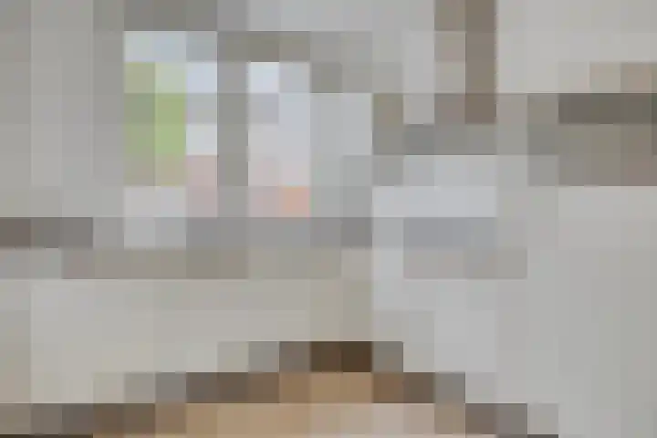Maalsteen 31 Nistelrode thumbnail 12