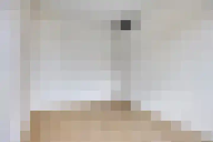 Maalsteen 31 Nistelrode thumbnail 17