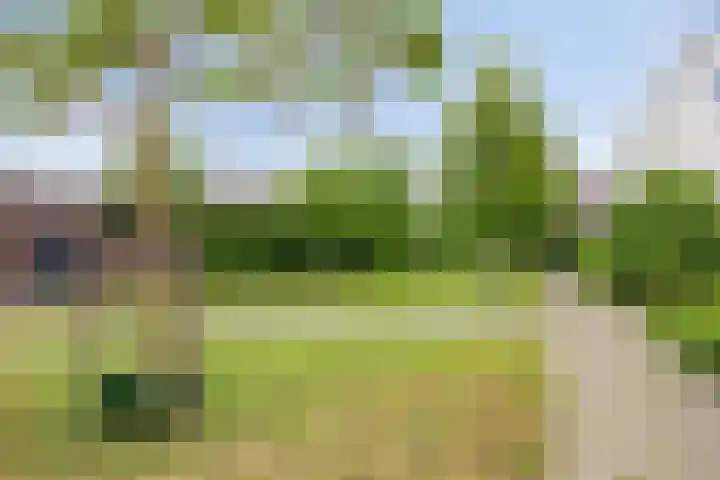 Maalsteen 31 Nistelrode thumbnail 27
