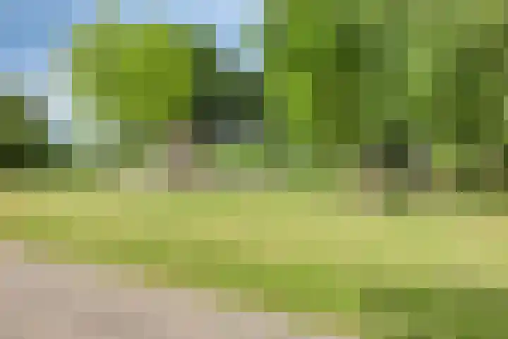 Maalsteen 31 Nistelrode thumbnail 28