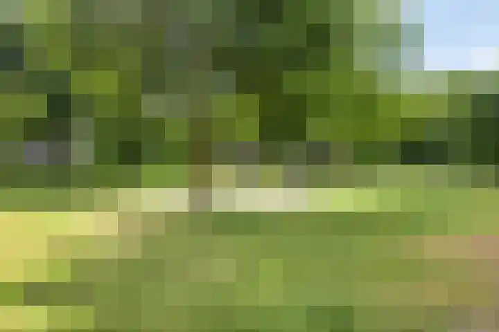 Maalsteen 31 Nistelrode thumbnail 29