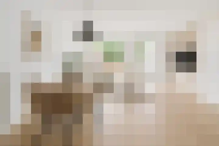 Maalsteen 31 Nistelrode thumbnail 8