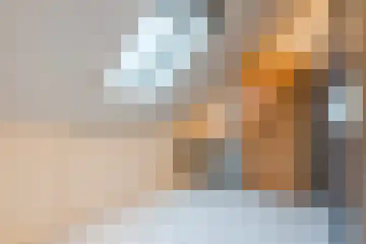 Maalsteen 33 Nistelrode thumbnail 25
