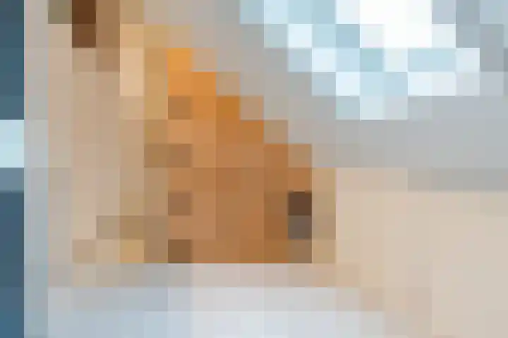 Maalsteen 33 Nistelrode thumbnail 26