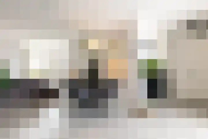 Maalsteen 39 Zuidland thumbnail 11