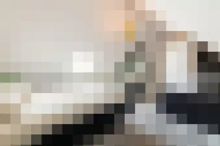 Maalsteen 39 Zuidland thumbnail 23