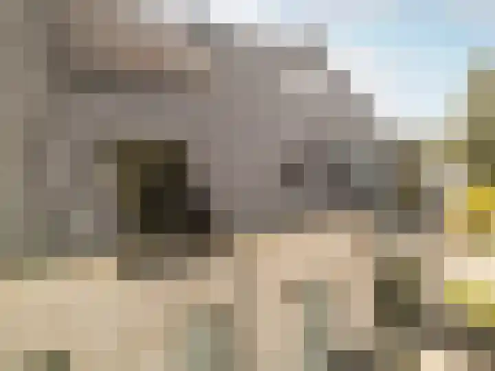 Maalsteen 39 Zuidland thumbnail 27