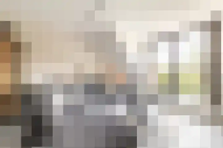 Maalsteen 39 Zuidland thumbnail 7