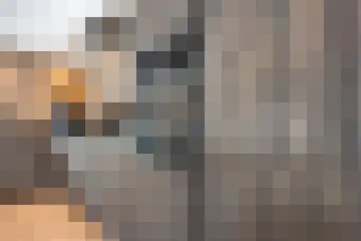 Maalsteen 6 Raalte thumbnail 16