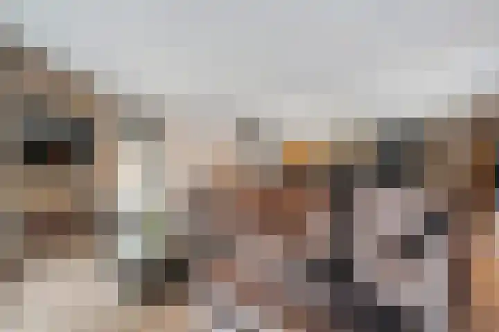 Maalsteen 6 Raalte thumbnail 18