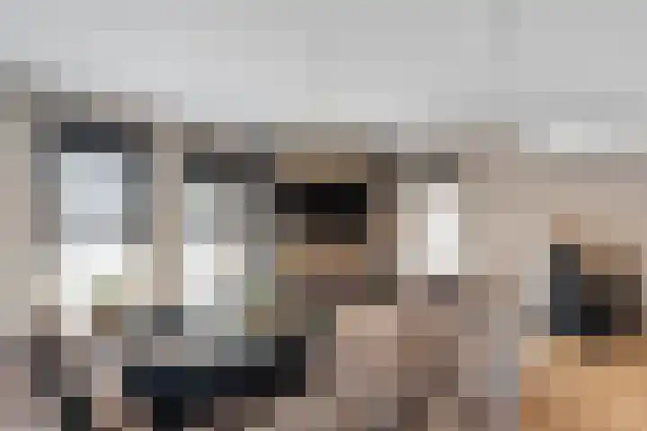 Maalsteen 6 Raalte thumbnail 19