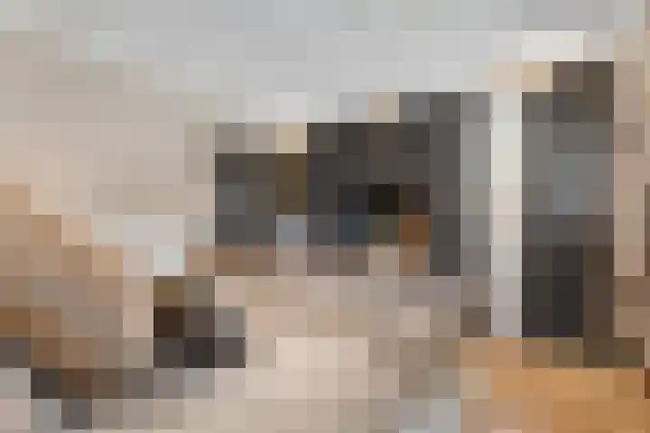 Maalsteen 6 Raalte thumbnail 27