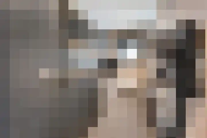 Maalsteen 6 Raalte thumbnail 28