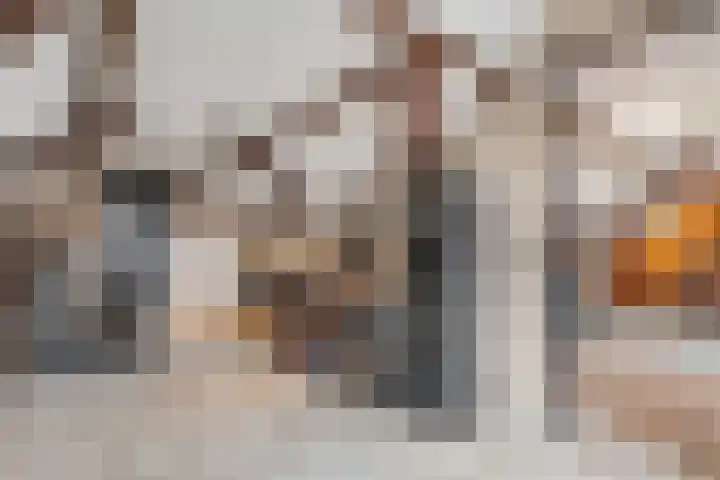 Maalsteen 6 Raalte thumbnail 33