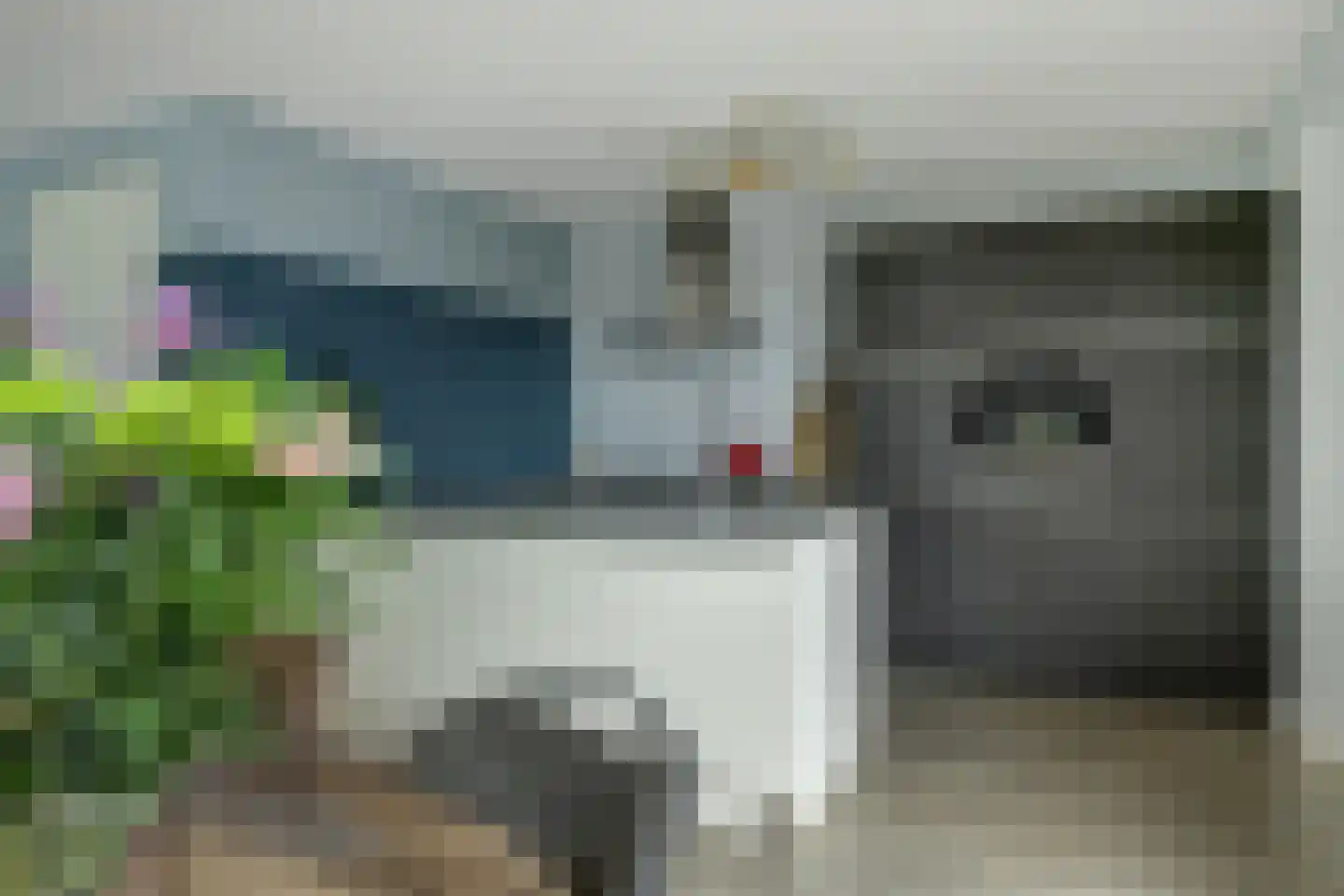 Maalsteen 7 Eersel thumbnail 16