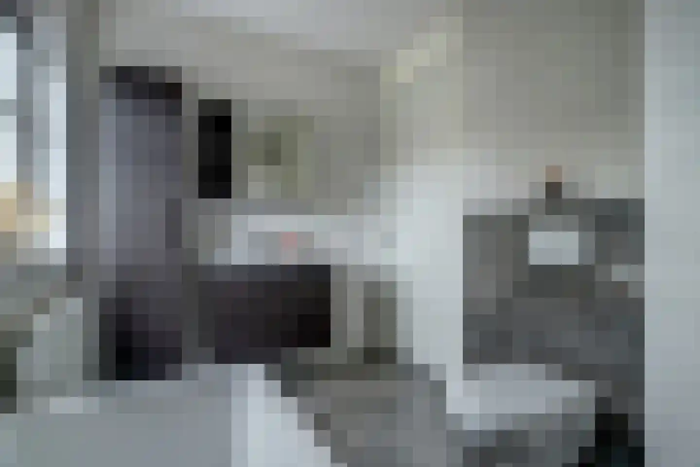 Maalsteen 7 Eersel thumbnail 35