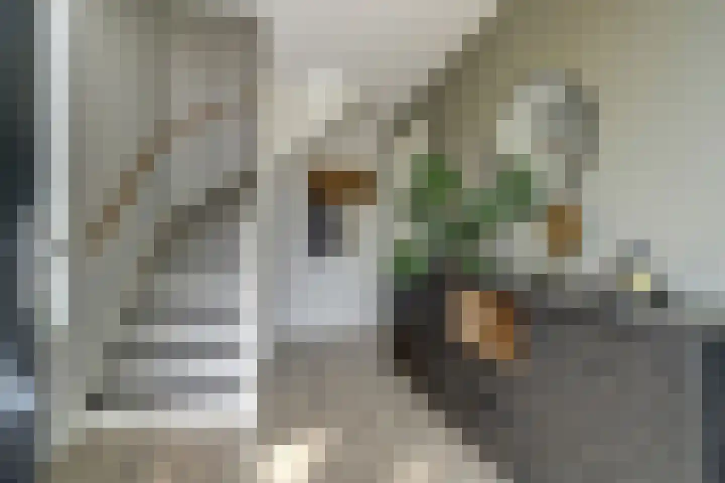 Maalsteen 7 Eersel thumbnail 5