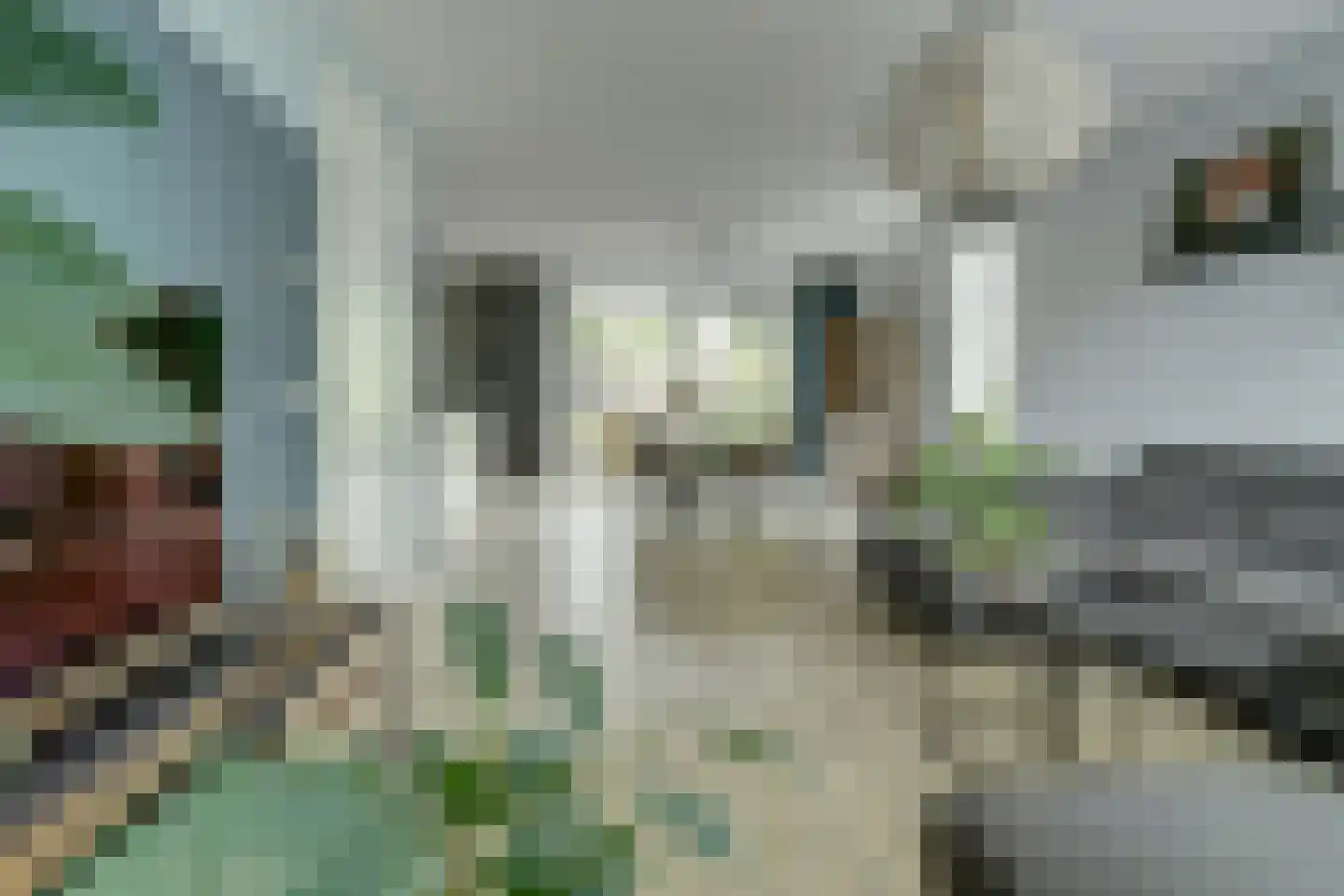 Maalsteen 7 Eersel thumbnail 8