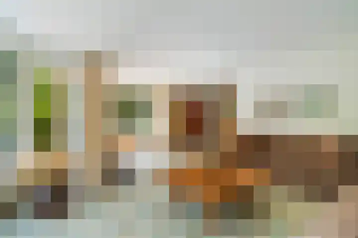 Maalsteenkreek 41 Wassenaar thumbnail 10