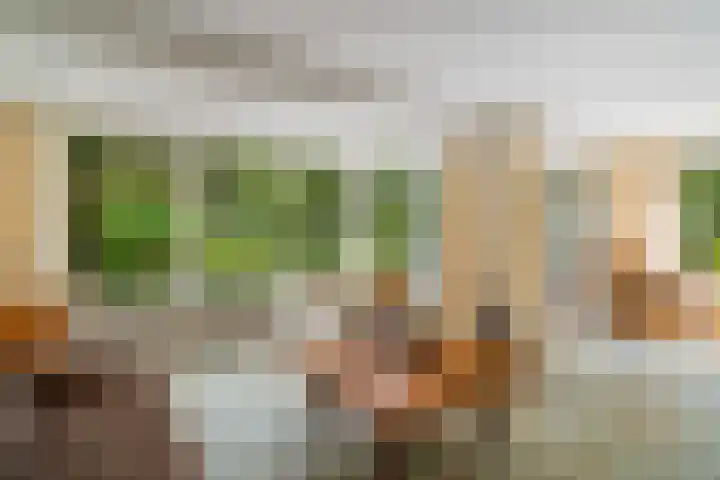 Maalsteenkreek 41 Wassenaar thumbnail 13