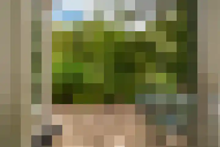 Maalsteenkreek 41 Wassenaar thumbnail 21