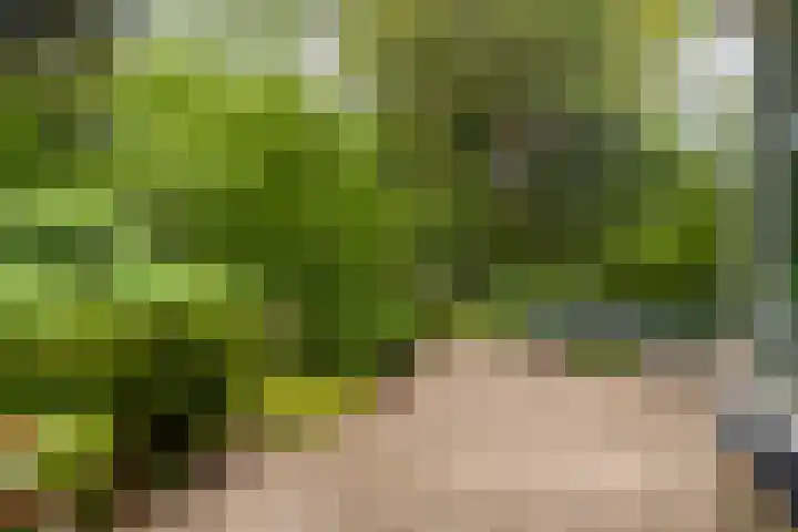 Maalsteenkreek 41 Wassenaar thumbnail 22