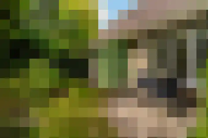 Maalsteenkreek 41 Wassenaar thumbnail 23