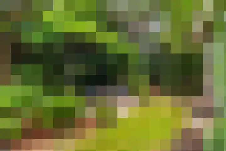 Maalsteenkreek 41 Wassenaar thumbnail 24