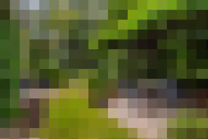 Maalsteenkreek 41 Wassenaar thumbnail 25