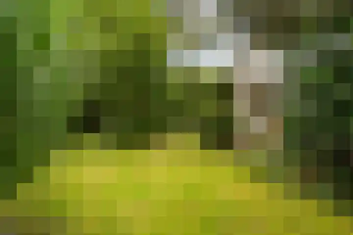 Maalsteenkreek 41 Wassenaar thumbnail 26