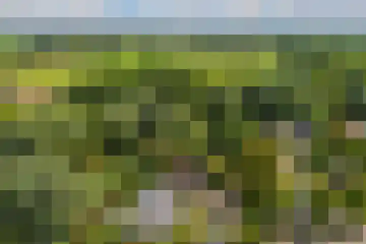 Maalsteenkreek 41 Wassenaar thumbnail 27