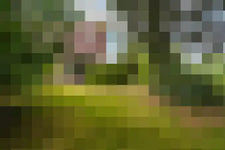 Maalsteenkreek 41 Wassenaar thumbnail 28