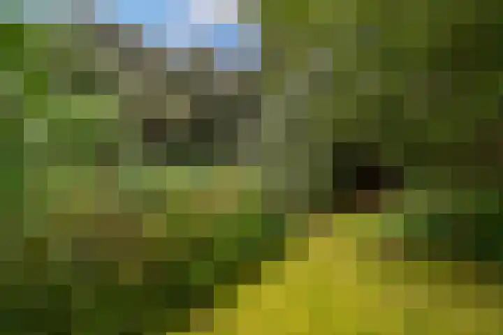 Maalsteenkreek 41 Wassenaar thumbnail 29