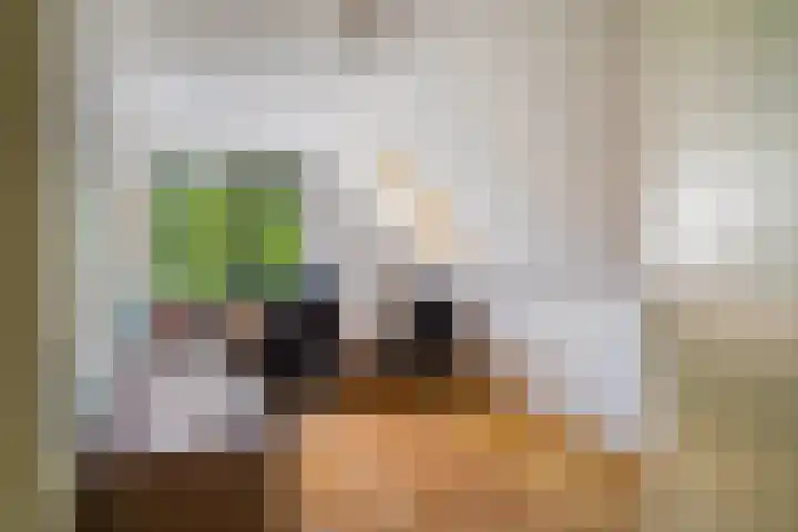 Maalsteenkreek 41 Wassenaar thumbnail 39