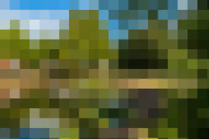 Maalsteenkreek 41 Wassenaar thumbnail 4