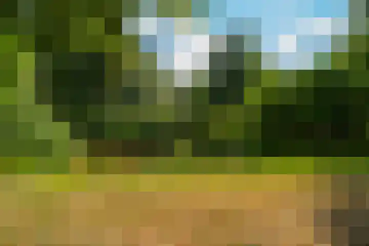 Maalsteenkreek 41 Wassenaar thumbnail 43
