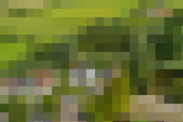 Maalsteenkreek 41 Wassenaar thumbnail 44