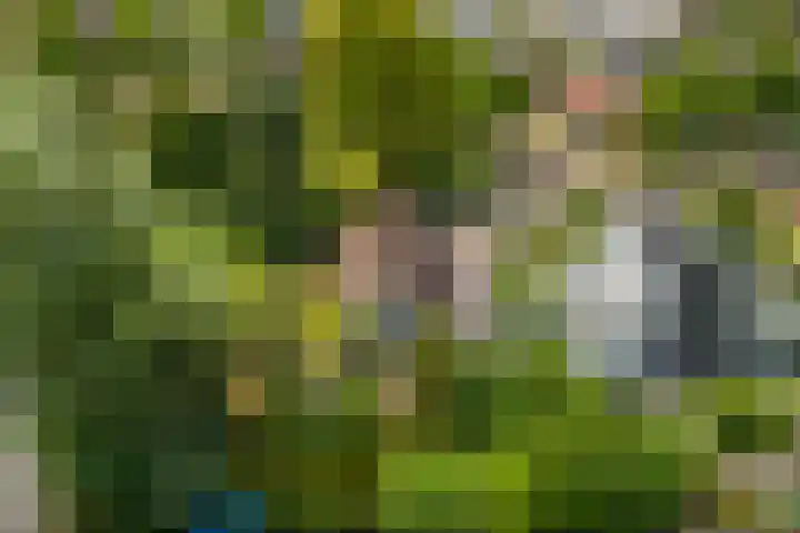 Maalsteenkreek 41 Wassenaar thumbnail 45