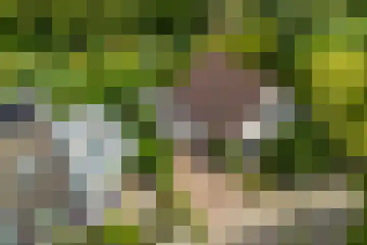 Maalsteenkreek 41 Wassenaar thumbnail 46