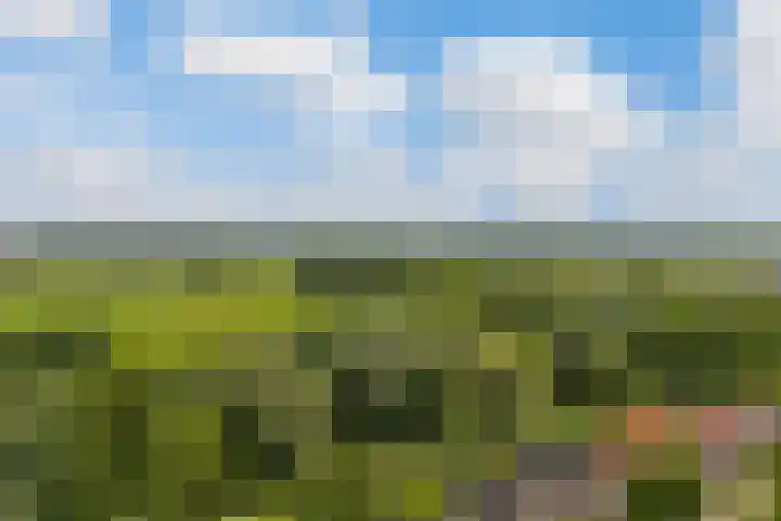 Maalsteenkreek 41 Wassenaar thumbnail 47