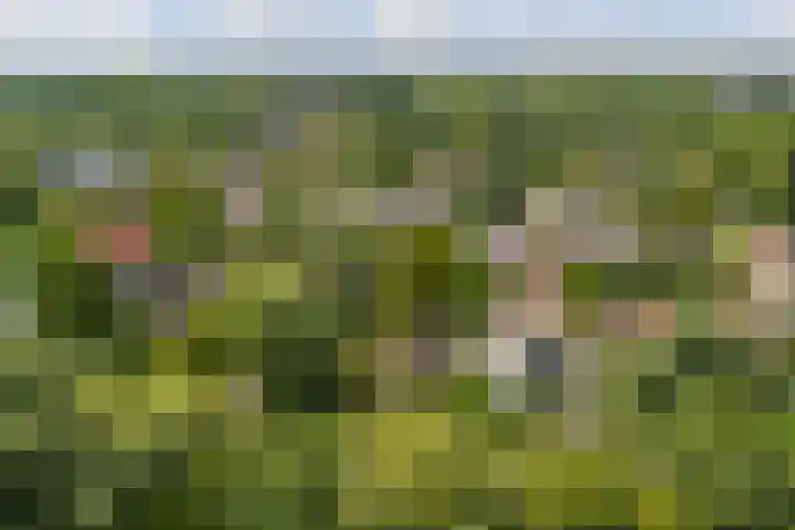 Maalsteenkreek 41 Wassenaar thumbnail 48