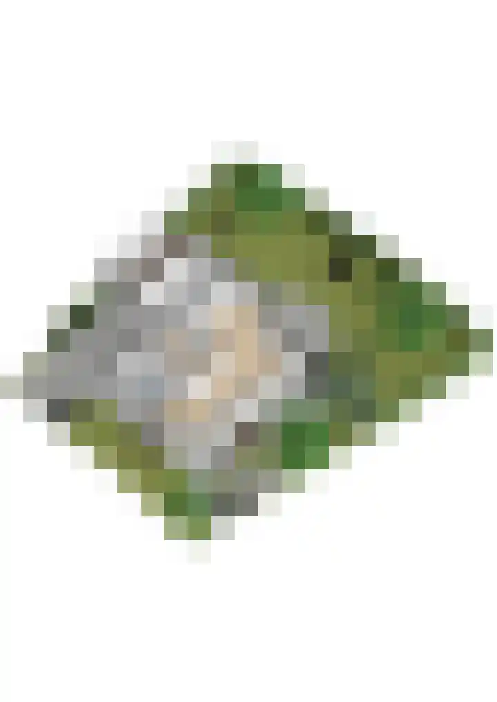 Maalsteenkreek 41 Wassenaar thumbnail 56