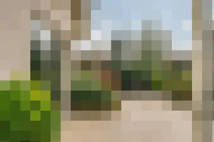 Maalsteenkreek 9 Wassenaar thumbnail 10